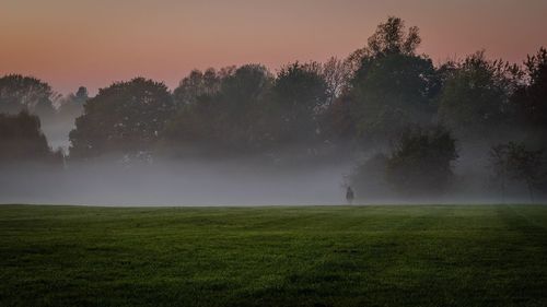 Scenic view of landscape against clear sky during sunset in foggy weather