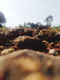 Surface level of stones on field against sky