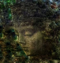 Plant growing on rocks