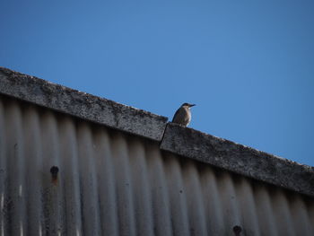 Low angle view of bird perching on roof against clear blue sky