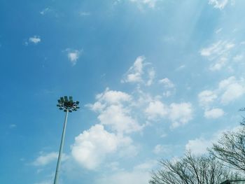 Low angle view of tree against sky