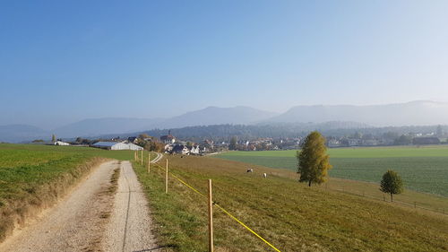 Scenic view of agricultural field against clear sky