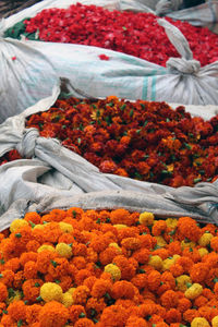 Close-up of multi colored flowers at market stall