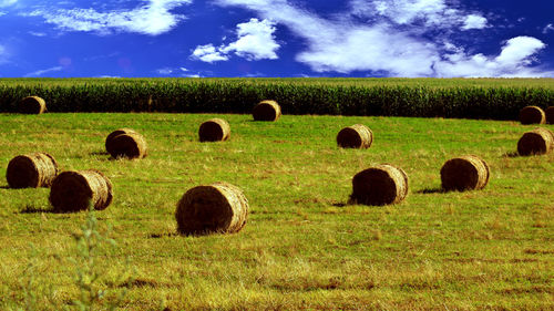 Hay bales on field against sky