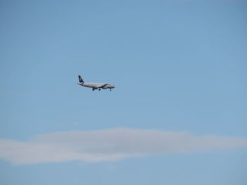 Low angle view of bird flying against blue sky