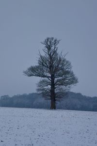 Bare tree on snow covered field against clear sky