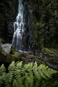 Rear view of woman standing by waterfall in forest