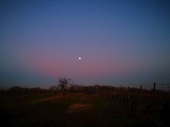 Scenic view of field against sky at night