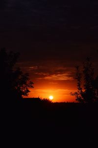 Silhouette trees against sky during sunset