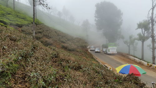 Road passing through foggy weather