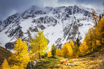 Scenic view of snowcapped mountains during autumn