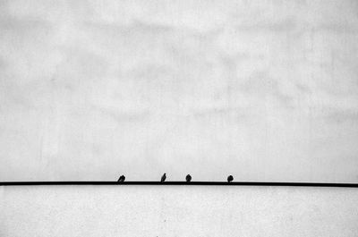 Birds perching on power line against sky