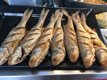 High angle view of fish for sale