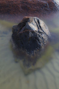High angle view of rock on land