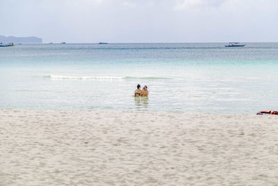 View of dog on beach