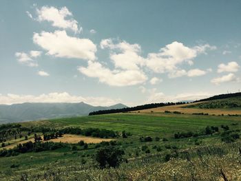 Scenic view of landscape against sky