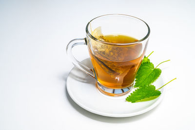 Nettle infusion in transparent cup, a sachet in water, a white saucer  and nettle leaves. 