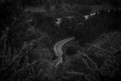 High angle view of road amidst trees in forest
