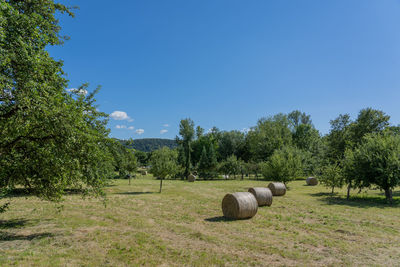 Hay bales on field against sky