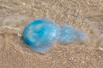 High angle view of blue sea shore
