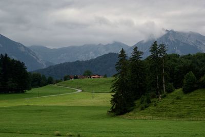 High angle view of golf course