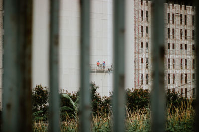 Building seen through metal fence