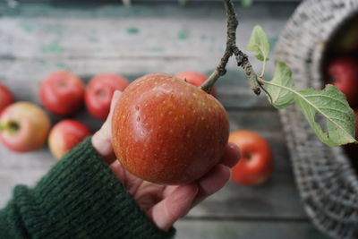 Cropped hand holding apple over table