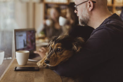 Dog resting while pet owner using laptop at cafe