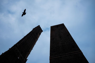 Low angle view of a bird flying