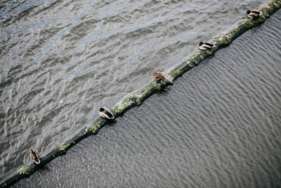 High angle view of boat in river