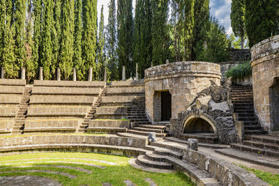 Old ruin in forest