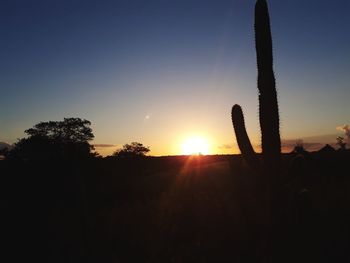 Silhouette cactus against sky during sunset