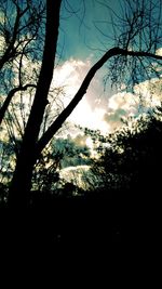 Low angle view of silhouette trees against sky