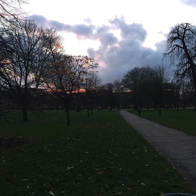 tree, sky, cloud - sky, bare tree, grass, cloudy, the way forward, tranquility, cloud, nature, park - man made space, tranquil scene, footpath, field, diminishing perspective, landscape, outdoors, growth, beauty in nature, scenics