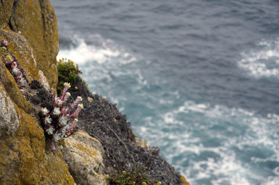 Close-up of rock formation by sea against sky