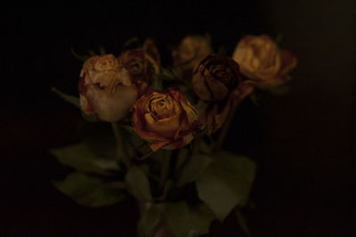 Close-up of rose bouquet against black background