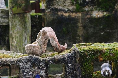 Horn on abandoned retaining wall