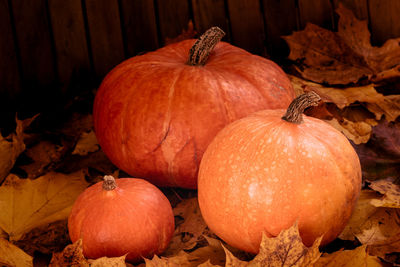 Close-up of three orange pumpkins arranged on a leaves