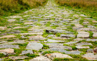 Full frame shot of footpath