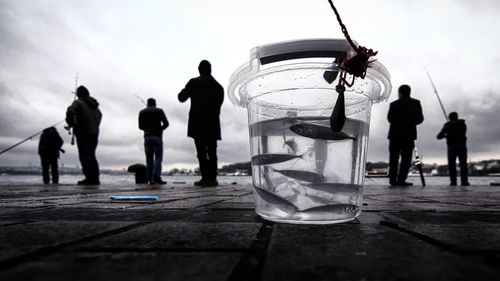 Close-up of fish in jar with people in background at lake