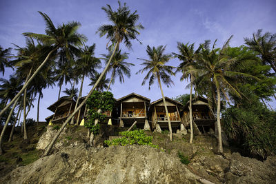 Palm trees by building against sky