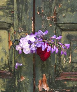 Close-up of purple flowering plant by wooden fence