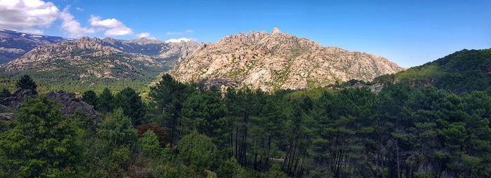 Panoramic view of trees and mountains against sky