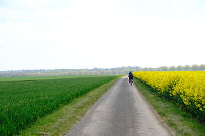 Rear view of person walking on road amidst field against sky