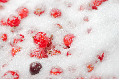 Close-up of ice cream