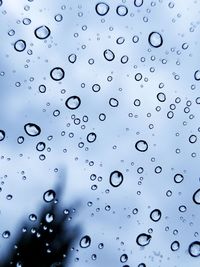 Close-up of water drops on airplane