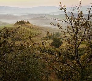 Orcia valley