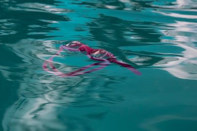 High angle view of woman swimming in pool