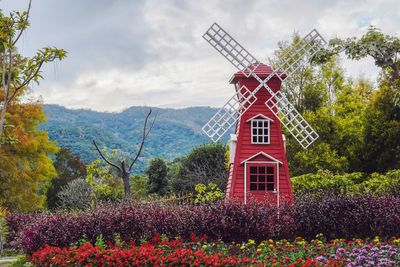 Red flowering plants on landscape against sky