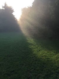 Scenic view of field in foggy weather